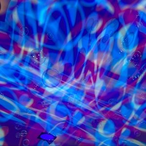 Meet your Posher, Jackson